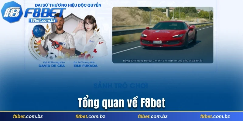 Tổng quan về F8bet